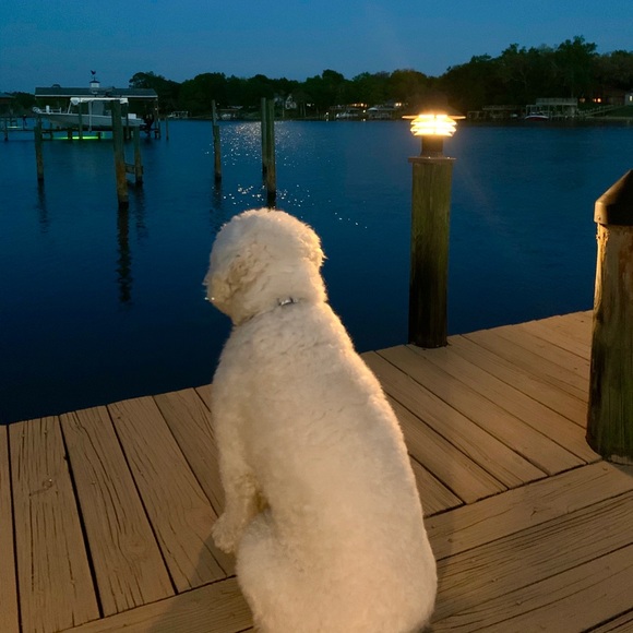 Meet The Vice President π - Picture 14 of 17